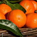 Mandarin