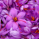 Safran
